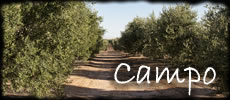CAMPO