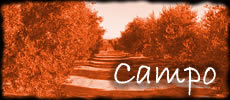 CAMPO